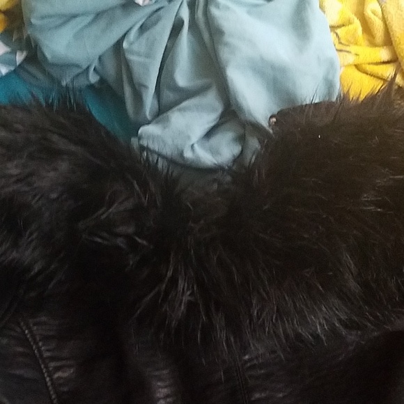 Jacket - Picture 5 of 6